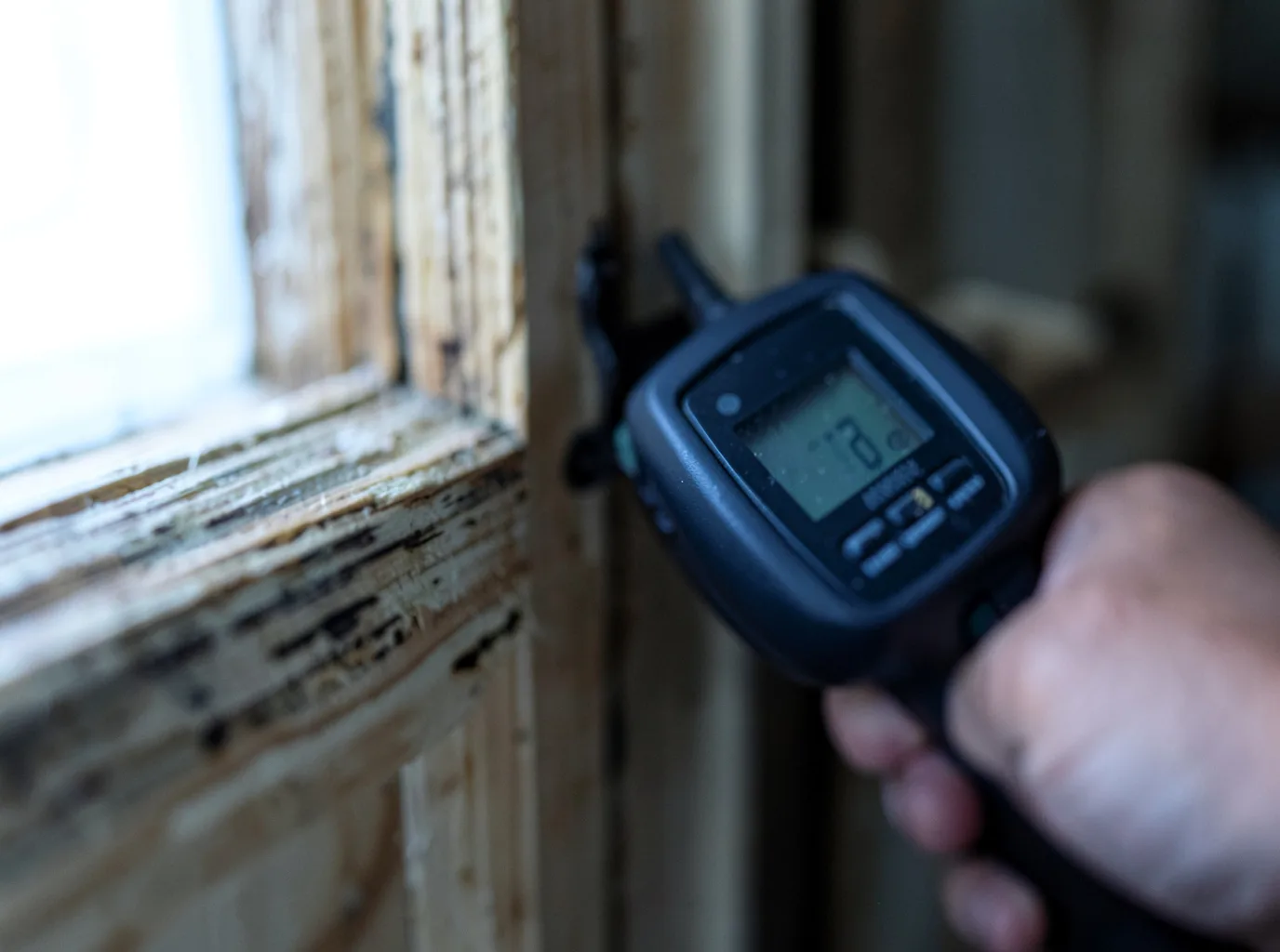 Moisture Inspection And Documentation in Arcola, MS